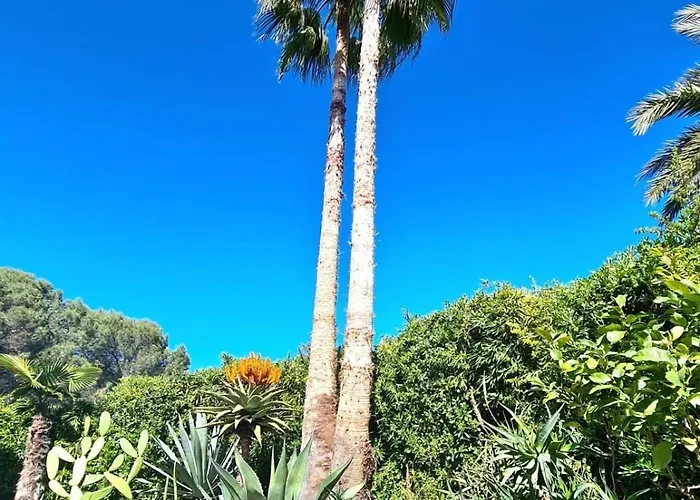 Villa D' Antibes Avec Piscine Dans Residence